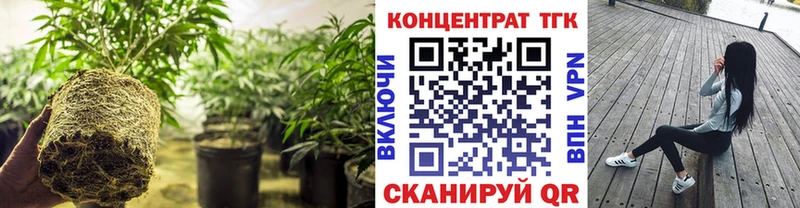 ТГК жижа  Тайга 
