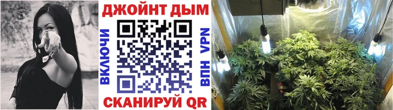Канабис VHQ  Тайга 